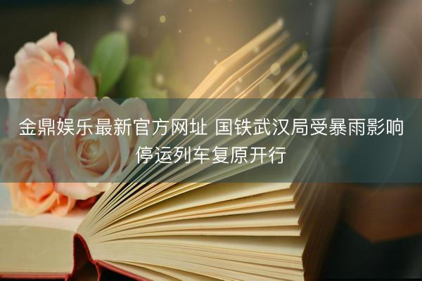 金鼎娱乐最新官方网址 国铁武汉局受暴雨影响停运列车复原开行