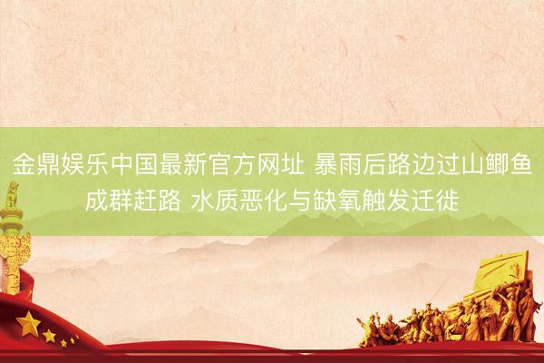 金鼎娱乐中国最新官方网址 暴雨后路边过山鲫鱼成群赶路 水质恶化与缺氧触发迁徙