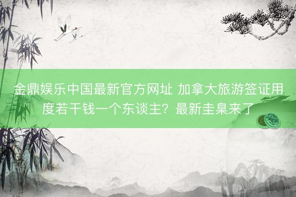 金鼎娱乐中国最新官方网址 加拿大旅游签证用度若干钱一个东谈主？最新圭臬来了