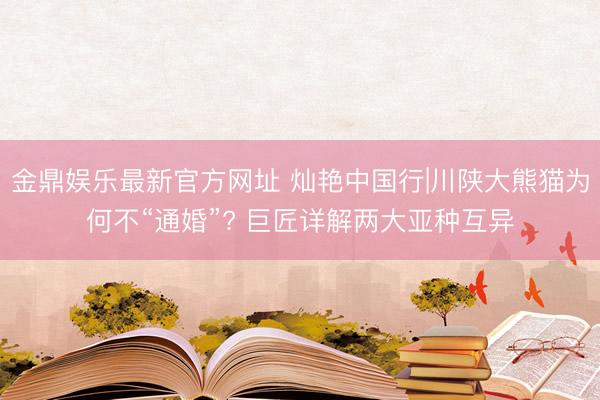 金鼎娱乐最新官方网址 灿艳中国行|川陕大熊猫为何不“通婚”? 巨匠详解两大亚种互异