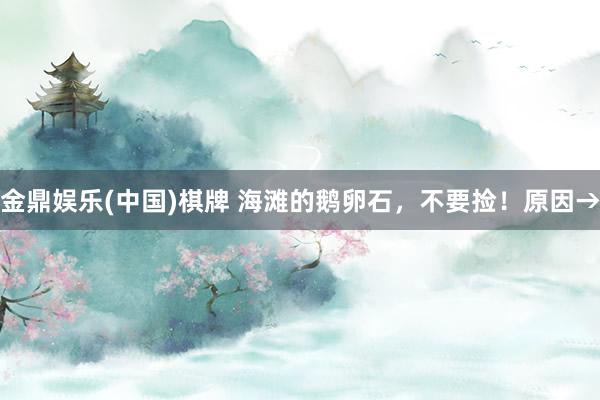 金鼎娱乐(中国)棋牌 海滩的鹅卵石，不要捡！原因→